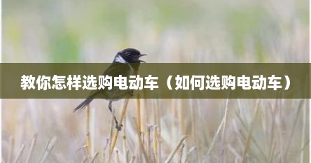 教你怎样选购电动车（如何选购电动车）