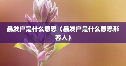 暴发户是什么意思（暴发户是什么意思形容人）