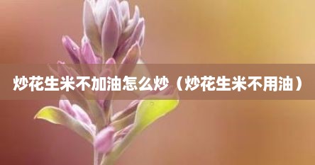 炒花生米不加油怎么炒（炒花生米不用油）