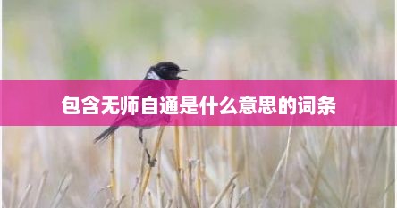 包含无师自通是什么意思的词条