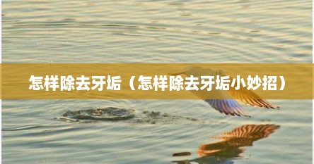 怎样除去牙垢（怎样除去牙垢小妙招）