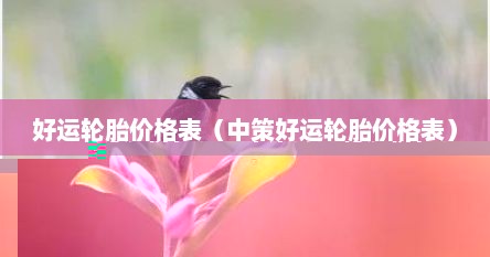 好运轮胎报价（中策集团好运轮胎）