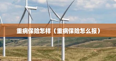 重病保险怎样（重病保险怎么报）