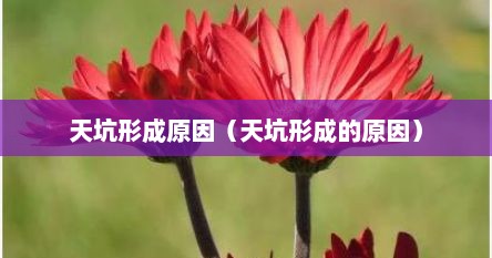 天坑形成原因（天坑形成的原因）