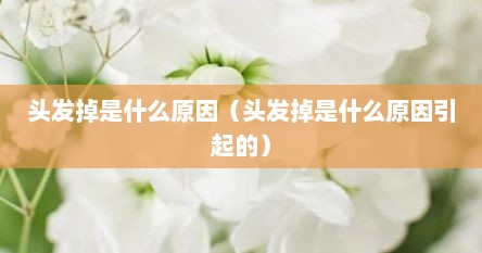 头发掉是什么原因（头发掉是什么原因引起的）