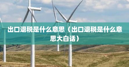 出口退税是什么意思（出口退税是什么意思大白话）