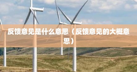 反馈意见是什么意思（反馈意见的大概意思）