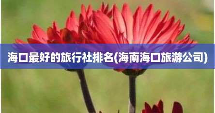 海口最好的旅行社排名(海南海口旅游公司)