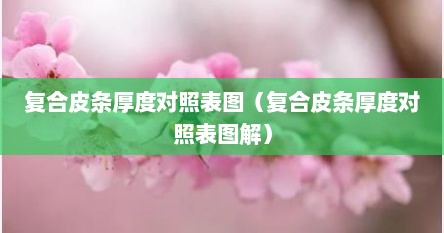 复合皮条厚度对照表图（复合皮条厚度对照表图解）
