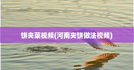 饼夹菜视频(河南夹饼做法视频)