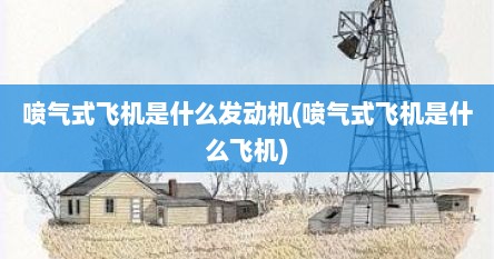 喷气式飞机是什么发动机(喷气式飞机是什么飞机)