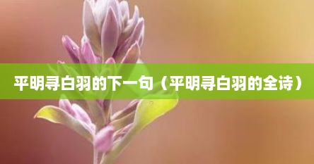 平明寻白羽的下一句（平明寻白羽的全诗）
