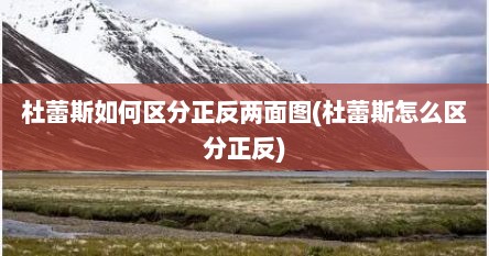 杜蕾斯如何区分正反两面图(杜蕾斯怎么区分正反)