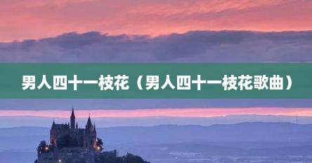 男人四十一枝花（男人四十一枝花歌曲）