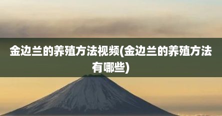 金边兰的养殖方法视频(金边兰的养殖方法有哪些)