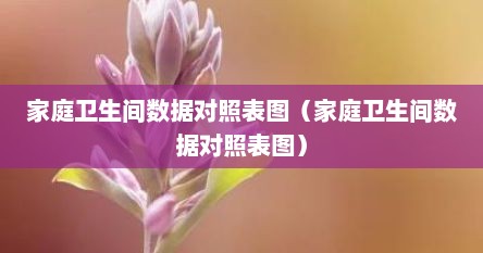 家庭卫生间数据对照表图（家庭卫生间数据对照表图）