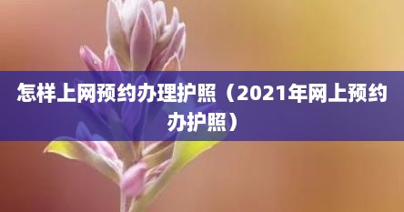 怎样上网预约办理护照（2021年网上预约办护照）