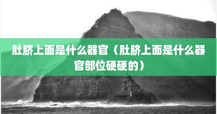 肚脐上面是什么器官（肚脐上面是什么器官部位硬硬的）