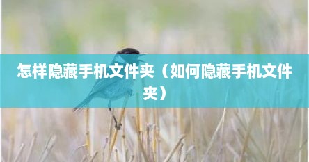 怎样隐藏手机文件夹（如何隐藏手机文件夹）