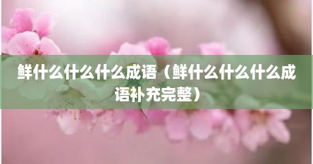 鲜什么什么什么成语（鲜什么什么什么成语补充完整）