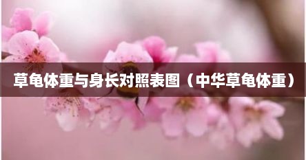 草龟体重与身长对照表图（中华草龟体重）