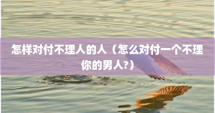 怎样对付不理人的人（怎么对付一个不理你的男人?）