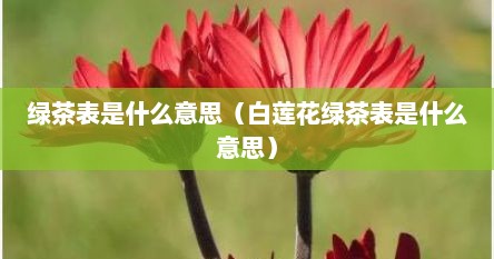 绿茶表是什么意思（白莲花绿茶表是什么意思）