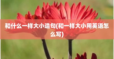 和什么一样大小造句(和一样大小用英语怎么写)