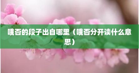 哦否的段子出自哪里（哦否分开读什么意思）