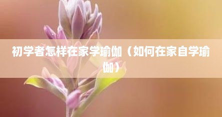 初学者怎样在家学瑜伽（如何在家自学瑜伽）