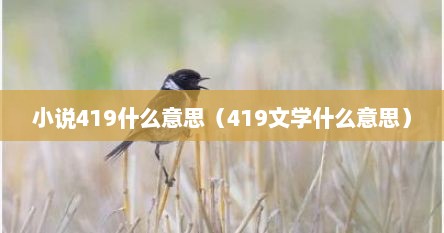 小说419什么意思（419文学什么意思）