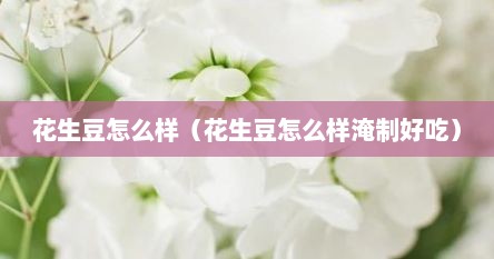 花生豆怎么样（花生豆怎么样淹制好吃）