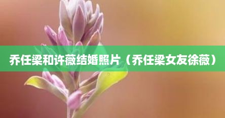 乔任梁和许薇结婚照片（乔任梁女友徐薇）