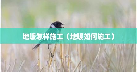 地暖怎样施工（地暖如何施工）
