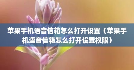 苹果手机语音信箱怎么打开设置（苹果手机语音信箱怎么打开设置权限）