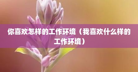 你喜欢怎样的工作环境（我喜欢什么样的工作环境）