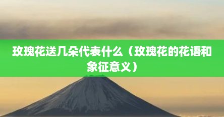 玫瑰花送几朵代表什么（玫瑰花的花语和象征意义）