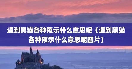 遇到黑猫各种预示什么意思呢（遇到黑猫各种预示什么意思呢图片）