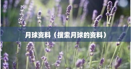 月球资料（搜索月球的资料）