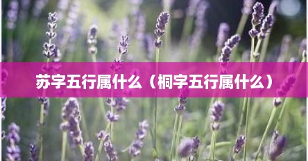 苏字五行属什么（桐字五行属什么）