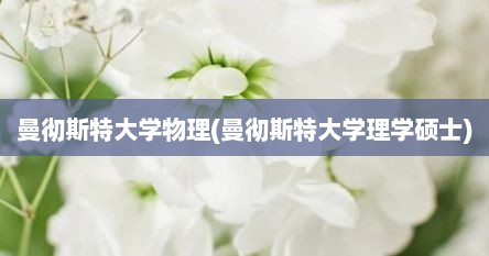 曼彻斯特大学物理(曼彻斯特大学理学硕士)