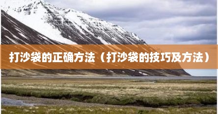 打沙袋的正确方法（打沙袋的技巧及方法）