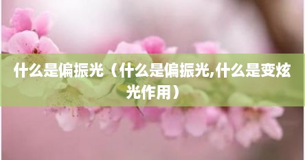 什么是偏振光（什么是偏振光,什么是变炫光作用）