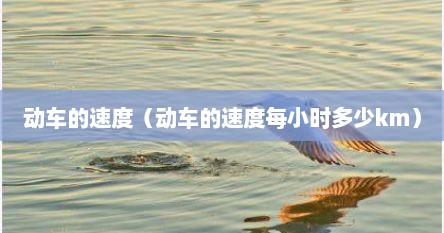 动车的速度（动车的速度每小时多少km）