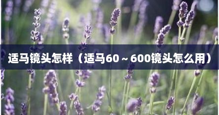 适马镜头怎样（适马60～600镜头怎么用）