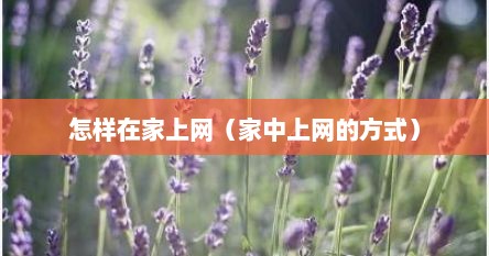怎样在家上网（家中上网的方式）