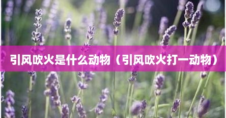 引风吹火是什么动物（引风吹火打一动物）
