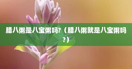 腊八粥是八宝粥吗?（腊八粥就是八宝粥吗?）