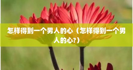 怎样得到一个男人的心（怎样得到一个男人的心?）
