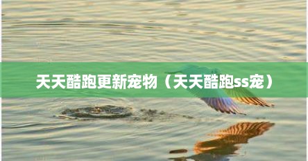 天天酷跑更新宠物（天天酷跑ss宠）